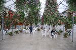 030_2008-0919-1546-31.jpg